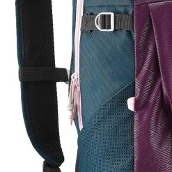 Quechua Arpenaz NH100 Hiking 20 L Backpack