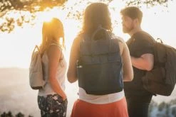 Backpacks & Bags Quechua NH150, Square Hiking 16 L Backpack