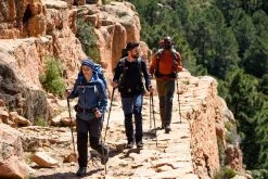 Forclaz Trek 900, Softshell Hiking Windbreaker, Women's Windbreakers