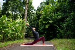 Best Deal Women's Long-Sleeved Organic Cotton Yoga T-Shirt by Kimjaly | Eco-Friendly & Comfortable 75 Shirts Kimjaly, Long-Sleeved Organic Cotton Yoga T-Shirt, Women's