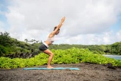 Kimjaly Domyos Cotton Yoga Shorts