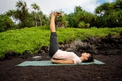 Kimjaly Domyos Cotton Cropped Yoga Pants Leggings