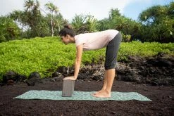 Kimjaly Domyos Cotton Cropped Yoga Pants Leggings