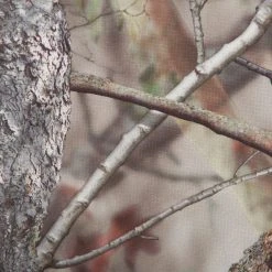 Solognac Hunting Waterproof Jacket Actikam 100 Jackets