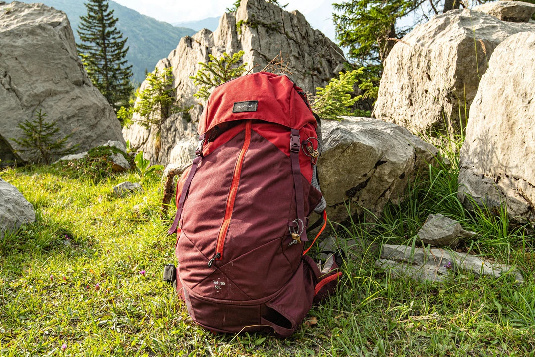 Forclaz Trek 100 Easyfit, 50 L Hiking Backpack, Women's