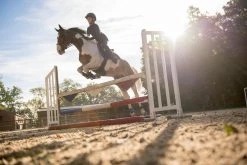 Fouganza 500 Adult Synthetic Horse Riding Jodhpur Boots - Black