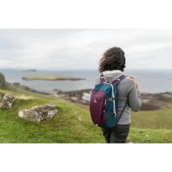 Quechua Arpenaz NH100 Hiking 20 L Backpack